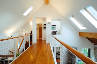 cat%204%20whyusearch