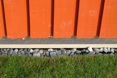 cat%206%20our%20design